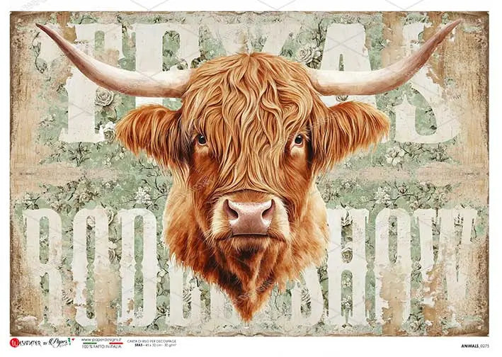 Paper Designs, Rice Paper, Country, Highland Cow, Texas, Roadshow, 2025 Release, 0275, A4, 8.3" X 11.7", Decoupage, Mixed Media Paper Designs