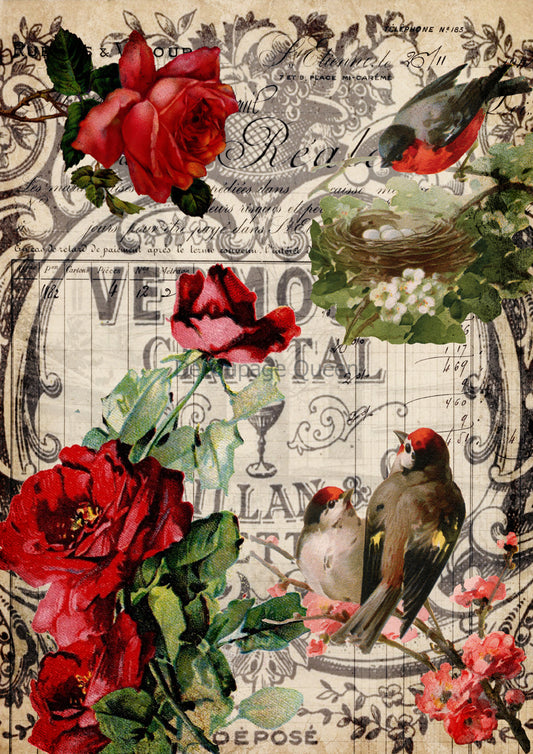 Decoupage Queen, Rice Paper, 2024 Fall Release, Vintage Style, Red Roses, Birds, Mixed Media, A4 8.3" X 11.7", DQRP-0651