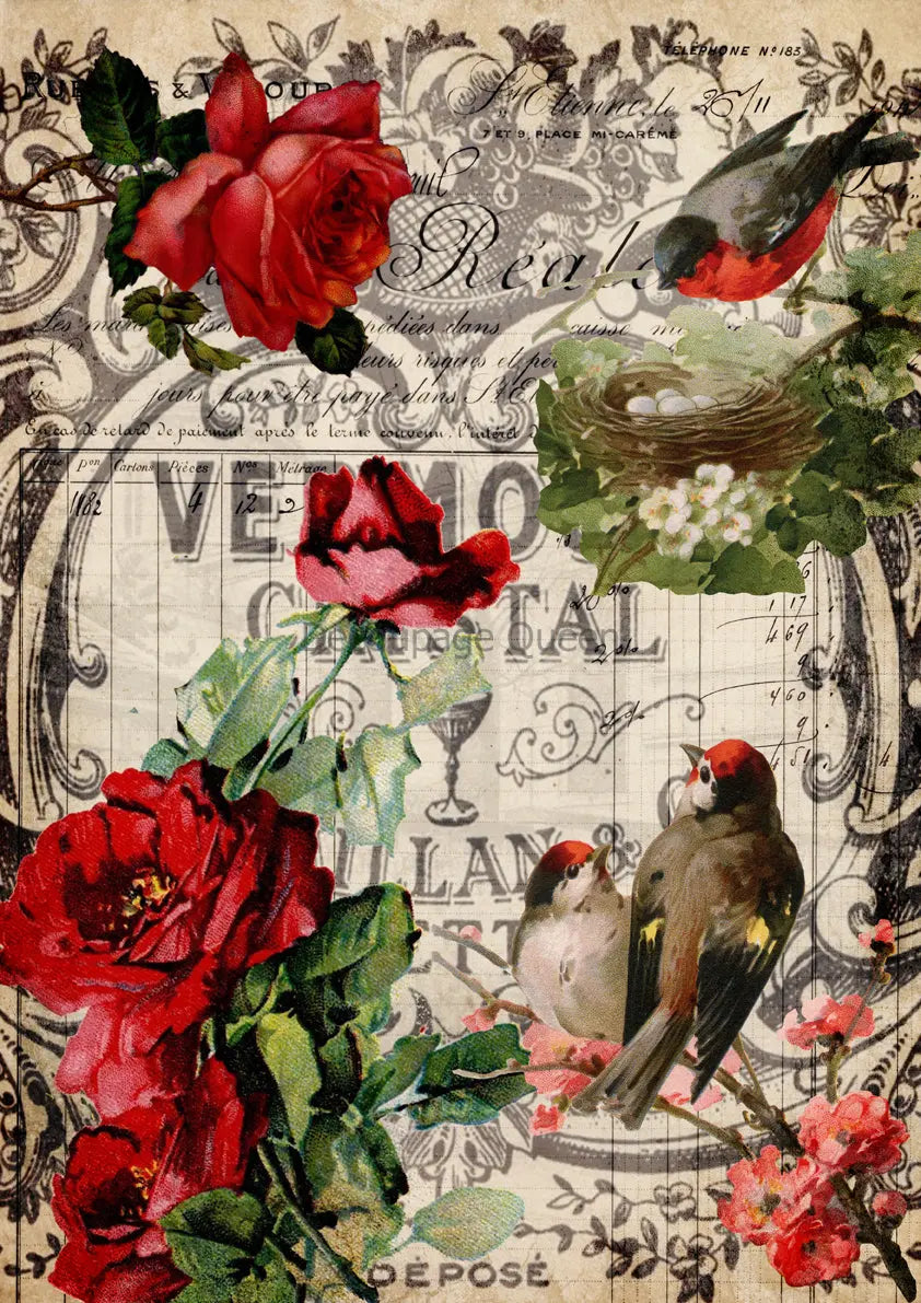 Decoupage Queen, Rice Paper, 2024 Fall Release, Vintage Style, Red Roses, Birds, Mixed Media, A4 8.3" X 11.7", DQRP-0651 Decoupage Queen