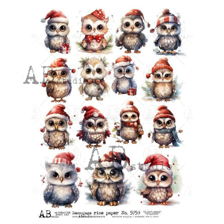 AB Studio, Rice Paper, Christmas, Owls, Santa Birds, Ornaments, A4, 8.27 x 11.69, Mixed Media, Decoupage, Imported Poland ID-5759