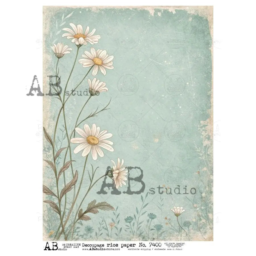 AB Studio, Rice Paper, White Daisies, Flowers, Blue, Background, Shabby Chic, A4 8.27 x11.6, Mixed Media, Decoupage, 7400 AB Studio
