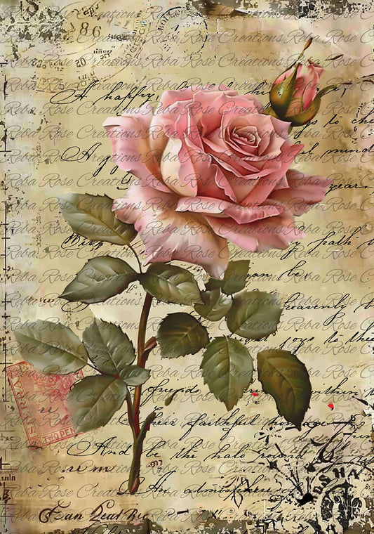 Reba Rose Creations, Rice Paper for Decoupage, Mixed Media, The Rose, Pink Roses, Flowers, , A3-226, 11.7 x 16.5