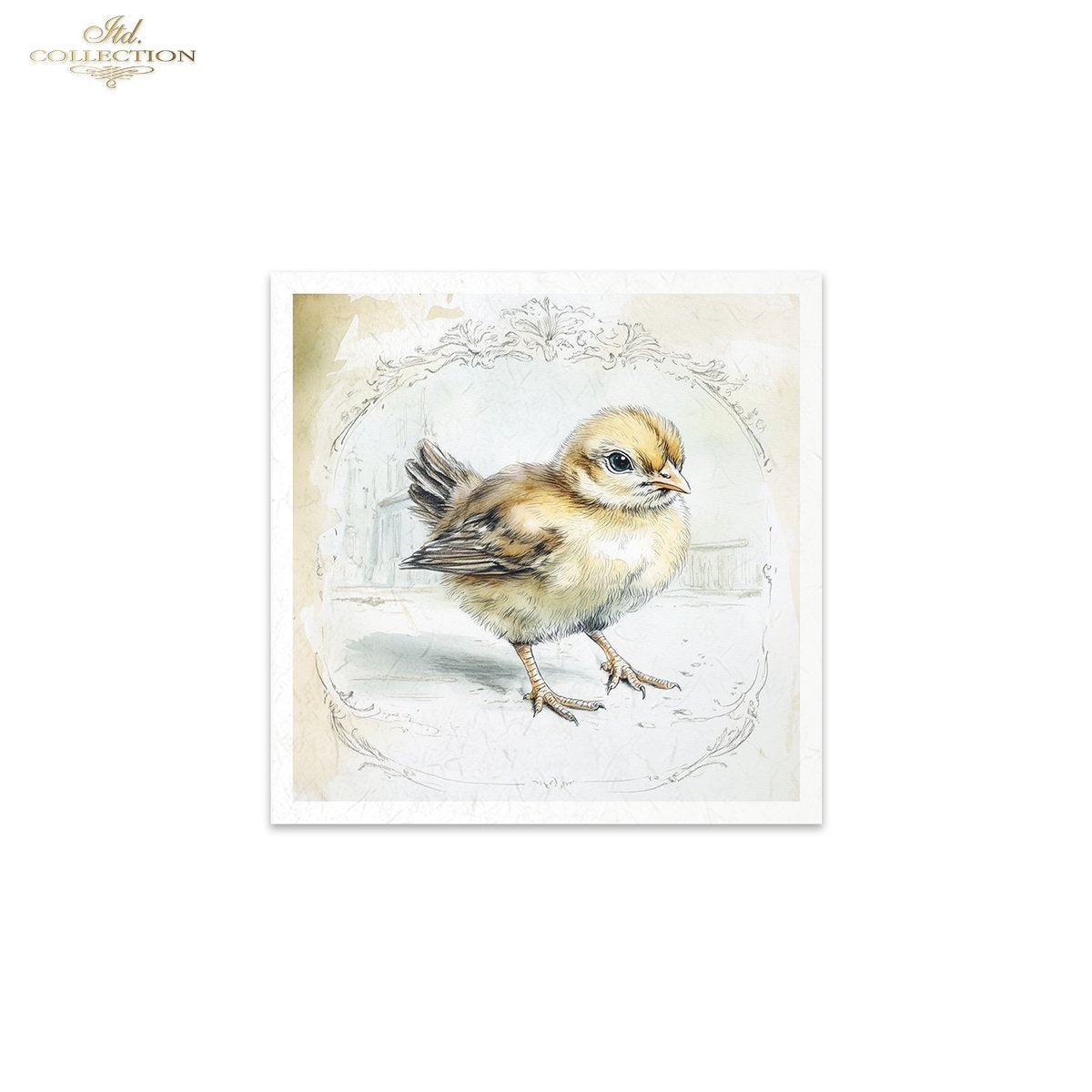 ITD Collection, Rice Paper, Mini Set, Chickens, Hens, Chicks, Rounds, Floral, 6 Sheets, 5x8, RSM119, Decoupage, Mixed Media, RSM158