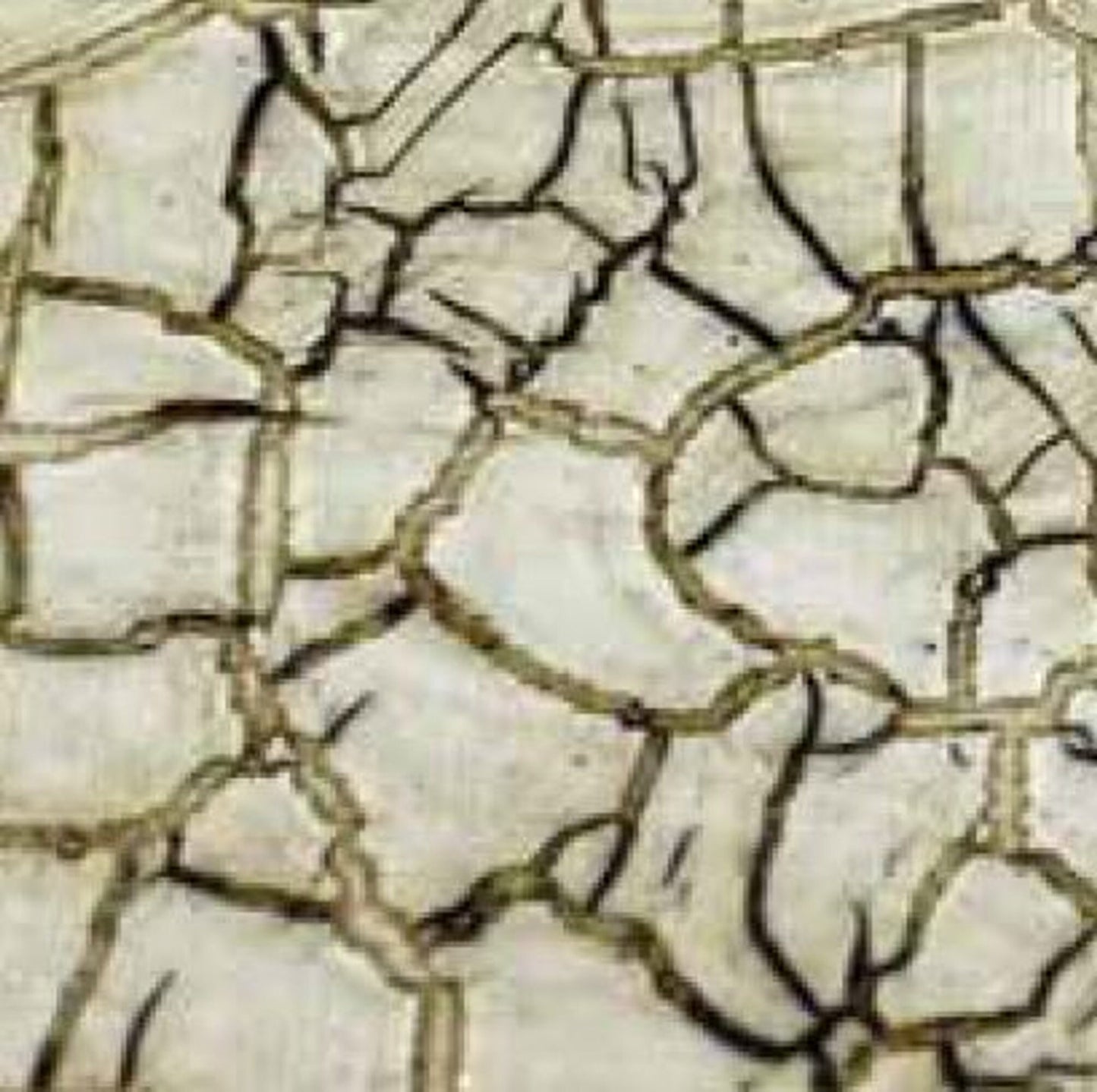 Pentart, Crackle Varnish Classic, 2 component set, Aged Effect, Distressed Appearance, Antique, Cracks