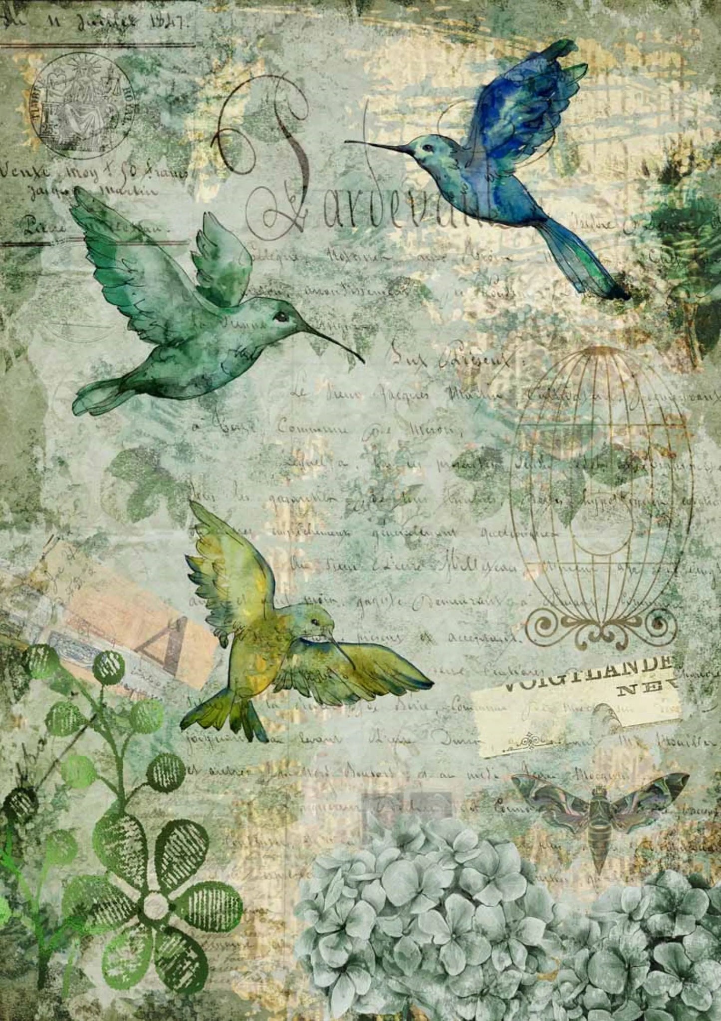 Decoupage Queen, Afternoon Hummingbirds, DQRP_0120 A4 - 8.3" X 11.7" Rice Paper, decoupage, Hummingbirds, cage, Green, Hydrangea, Floral Decoupage Queen