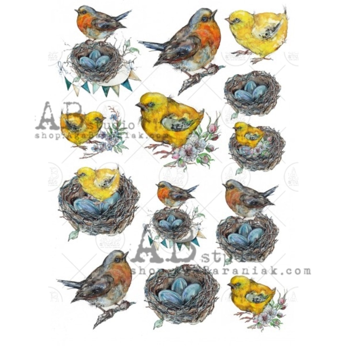 AB Studio Shabby Chic, birds, nests, spring, eggs, 0560 Size: A4 - 8.27 X 11.69 inches Rice Paper for Decoupage Imported from Poland
