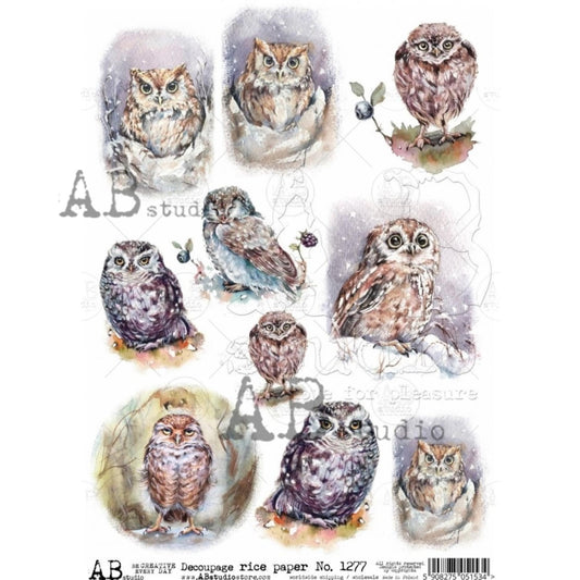 AB Studio Shabby Chic,  Spring, Owls, Squares, 1277, Size: A4 - 8.27 X 11.69 inches Rice Paper Decoupage Imported Poland