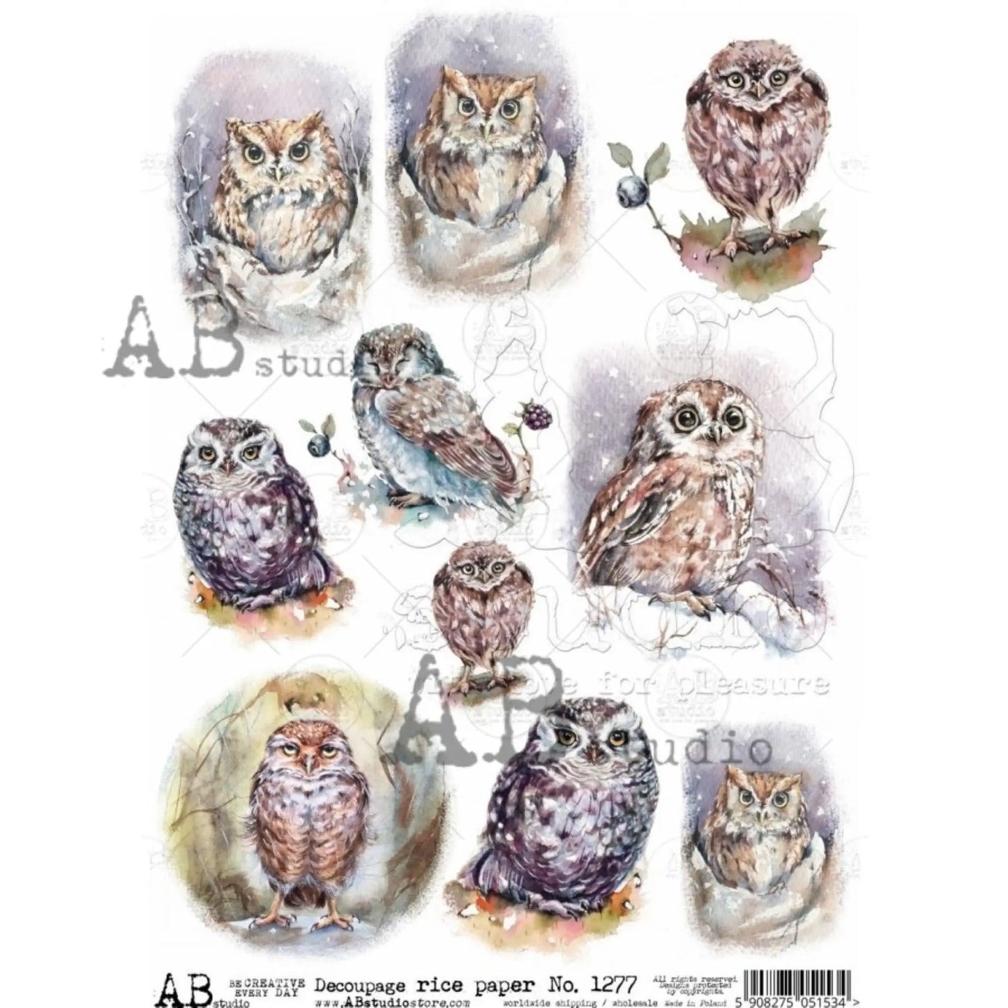 AB Studio Shabby Chic, Spring, Owls, Squares, 1277, Size: A4 - 8.27 X 11.69 inches Rice Paper Decoupage Imported Poland AB Studio