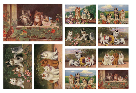 Calambour Italian Design Cats, Kittens, Animals, Flowers, DGR 167 Mulberry Rice Paper Decoupage 32 x 45 cm 12.5 x 17 in