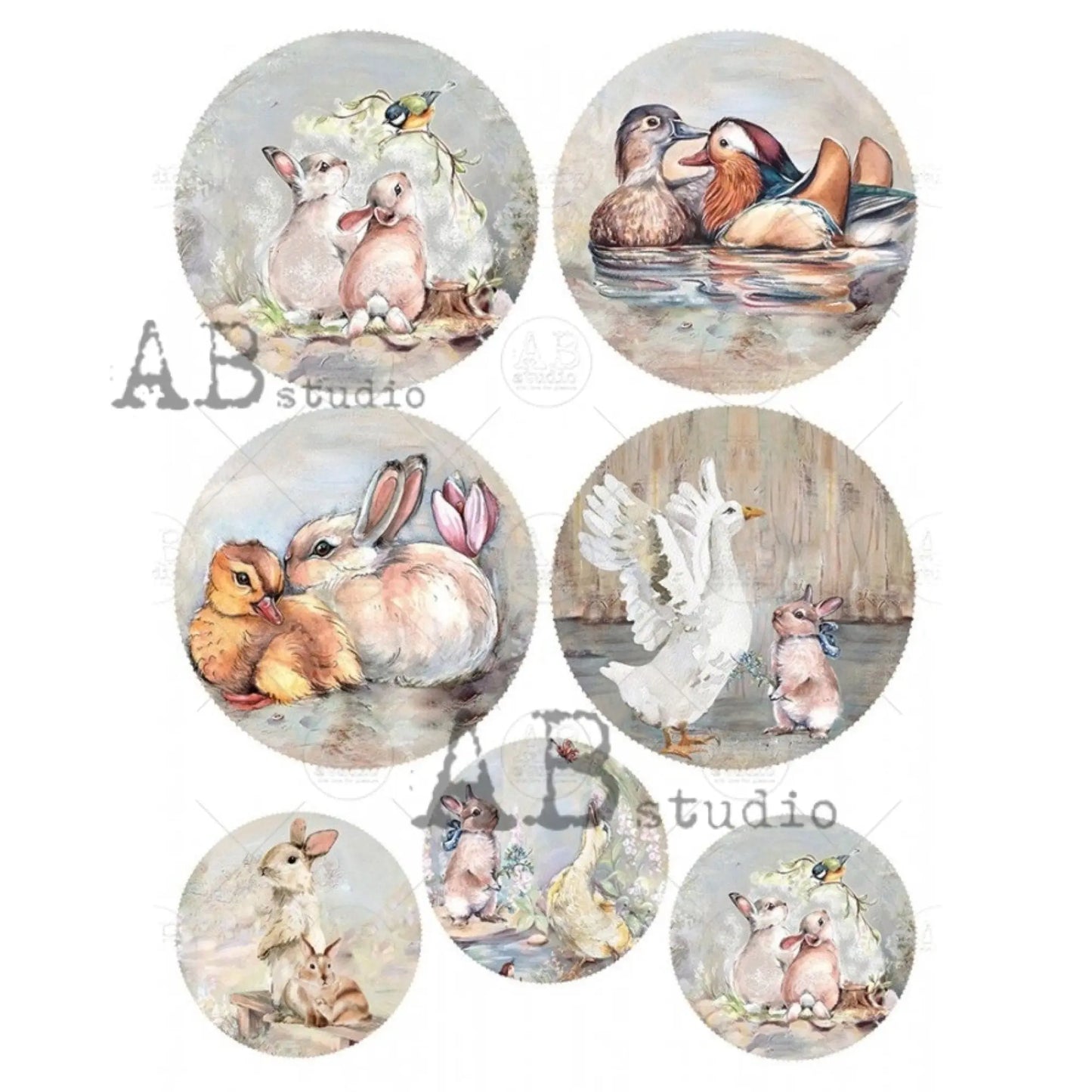 AB Studio Spring Ducks, Bunnies, Chics, Rounds, 1349, Size: A4 - 8.27 X 11.69 inches Rice Paper for Decoupage Imported from Poland AB Studio