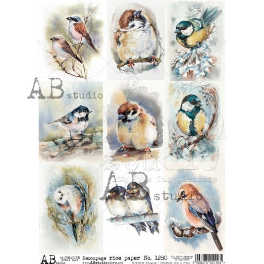AB Studio Shabby Chic,  Spring, Birds, Squares, 1280, Size: A4 - 8.27 X 11.69 inches Rice Paper Decoupage Imported Poland