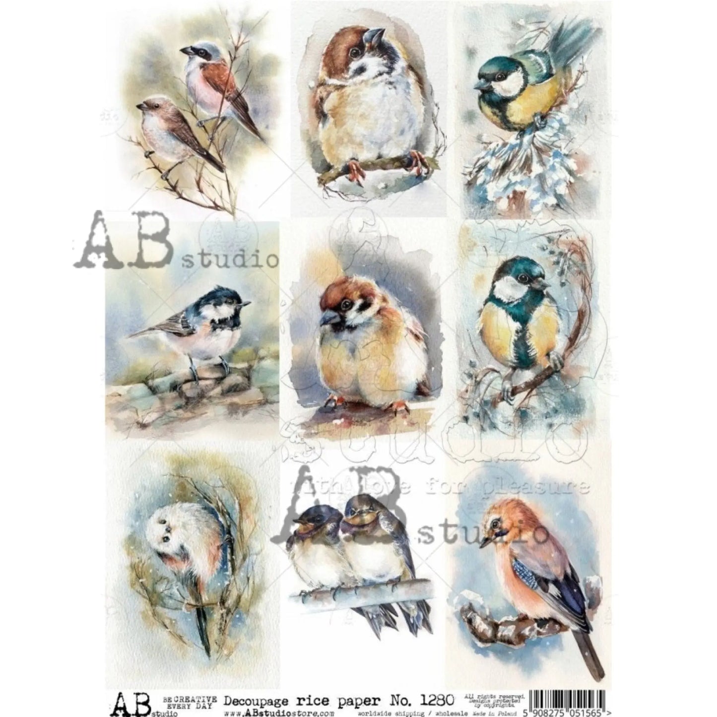 AB Studio Shabby Chic, Spring, Birds, Squares, 1280, Size: A4 - 8.27 X 11.69 inches Rice Paper Decoupage Imported Poland AB Studio