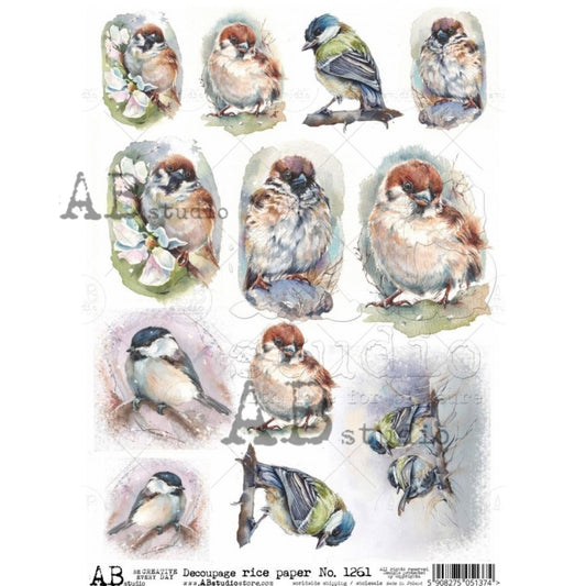 AB Studio Shabby Chic,  Spring, Birds, Squares, 1261, Size: A4 - 8.27 X 11.69 inches Rice Paper Decoupage Imported Poland