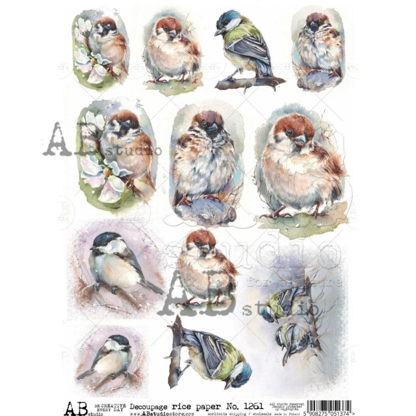 AB Studio Shabby Chic, Spring, Birds, Squares, 1261, Size: A4 - 8.27 X 11.69 inches Rice Paper Decoupage Imported Poland AB Studio