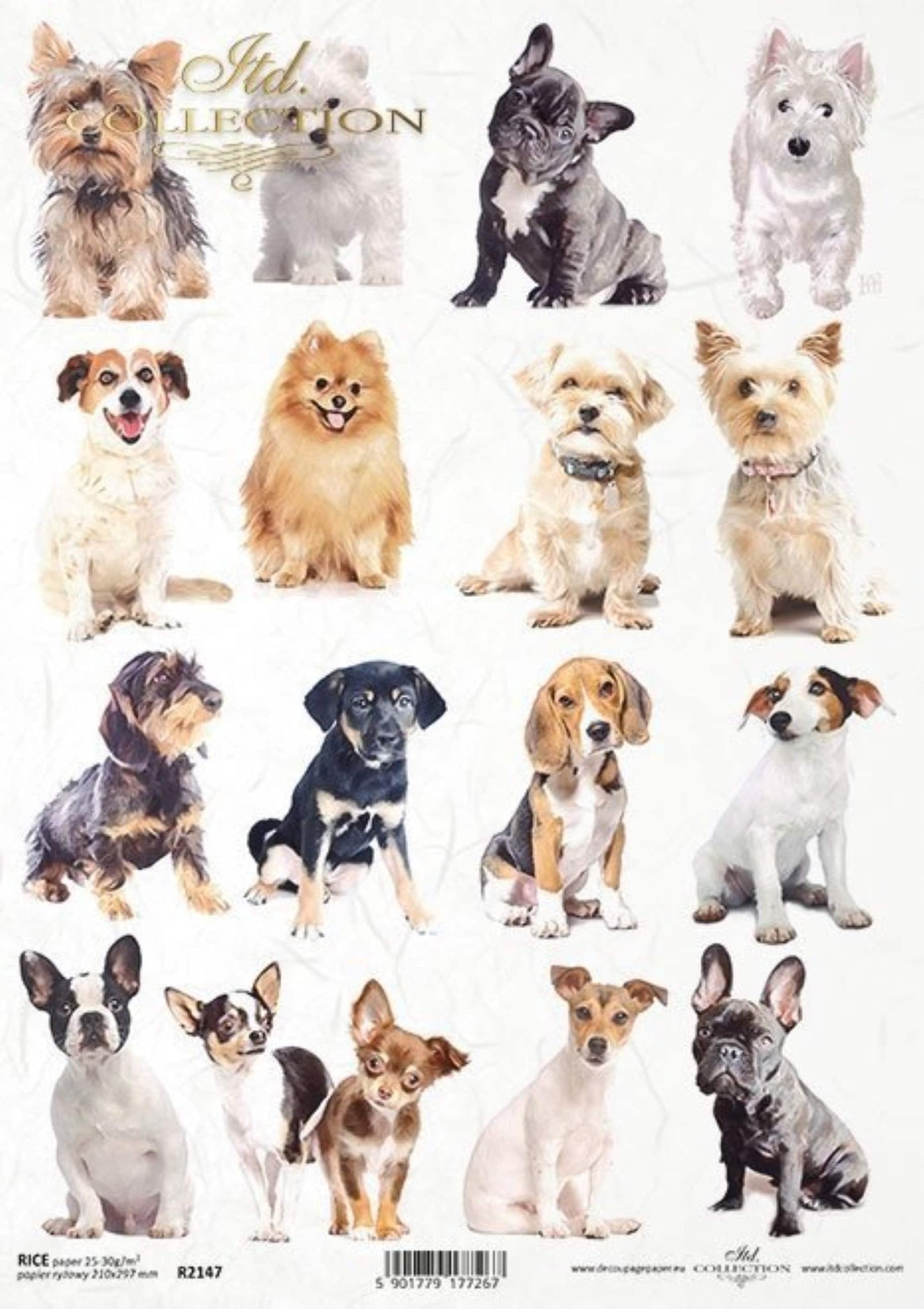 ITD Collection Rice Paper for Decoupage R2147, Size A4 - 210x297 mm, 8.27x11.7 inch, Dogs, puppies, varieties