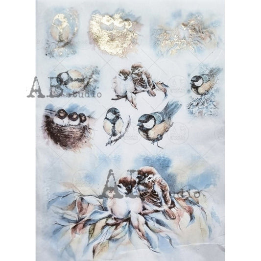 AB Studio Gold Color Gilded Rice Paper for Decoupage, Spring, Baby Birds, Love Birds, Nest, A4 1502, 8.27 X 11.69" Imported Poland