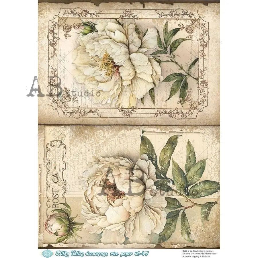 AB Studio, Rice Paper, Decoupage, White Peonies, Vintage Framed, Shabby Chic, Milky Valley, ID-75, A4 8.27 X 11.69 Imported AB Studio