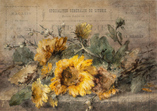 Decoupage Queen, 2023 Fall Release, DQRP 0488, A4 - 8.3" X 11.7" Rice Paper, Rochelle, Sunflowers, Painting, Vintage, Antique Style