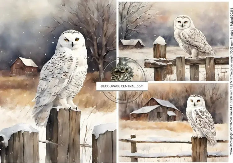 Decoupage Central, Winter, White, Owls, Country Style, Squares, Barn, Snow, DC214, Rice Paper, Decoupage, Mixed Media, A4 8.27x11.69 Decoupage Central