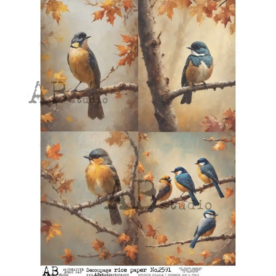 AB Studio, Rice Paper for Decoupage, Romantic, Shabby Chic, Blue Birds, Fall Leaves, Branches, Squares, 2591 A4 8.27 X 11.69 Imported Poland AB Studio