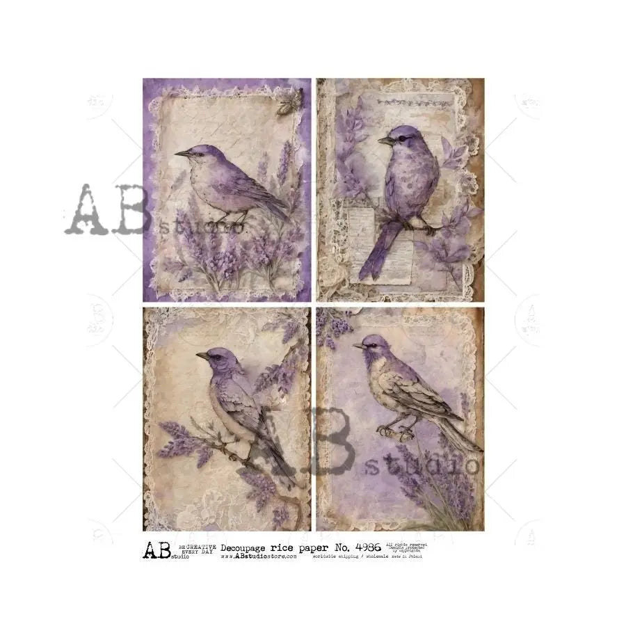 AB Studio, Rice Paper for Decoupage, Vintage, Shabby Chic, Birds, Antique Style, Lace Lavender, ID-4986 A4 8.27 x 11.69, Imported Poland AB Studio