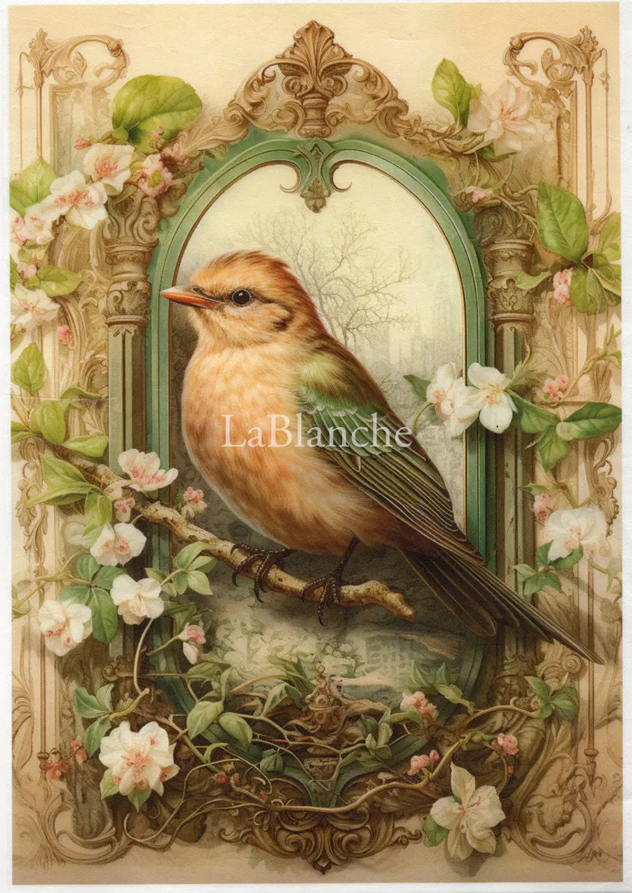 LaBlanche, 2024 Spring Release, Rice Paper, Beautiful, Blue Bird, Frame, Spring Shabby Chic, Squares, Lmt Ed LBD345 A4 8.27 X 11.69 in LaBlanche