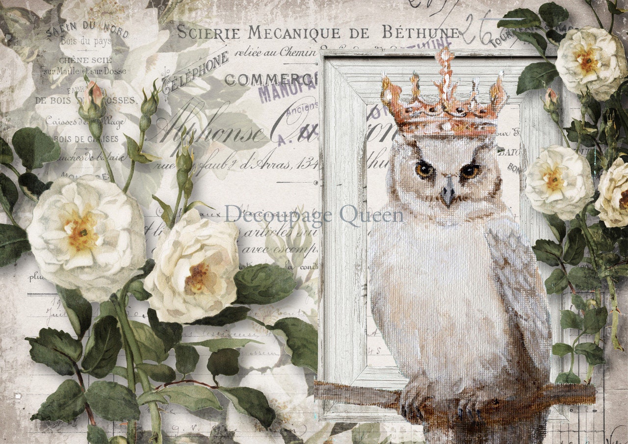 Decoupage Queen, Rice Paper, 2024 Spring Release, Crowned, White Owl, Flowers, Magnolia, Vintage Style, 0559, A4 8.3" X 11.7"
