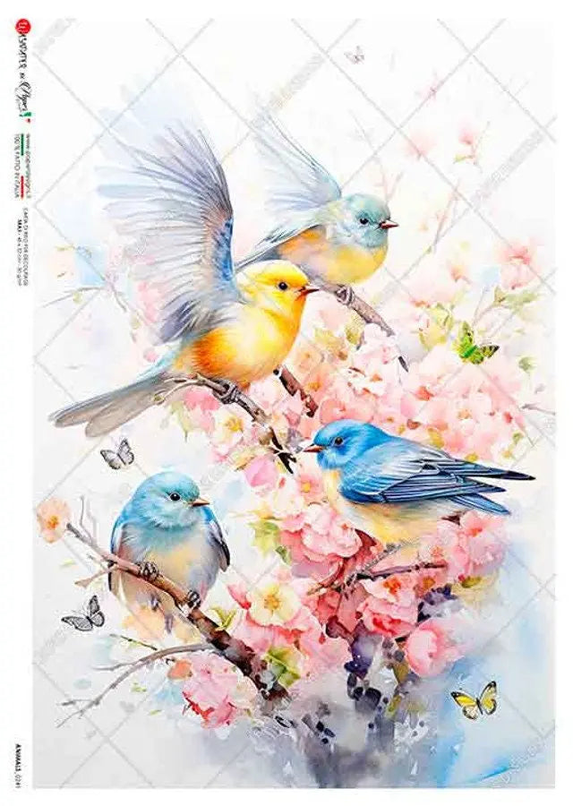 Paper Designs, 2024 Spring Release, Colorful Birds with Pink Flowers, Water color, Rice Paper, Decoupage, Mixed Media, 0241 A4 8.3" X 11.7" Paper Designs