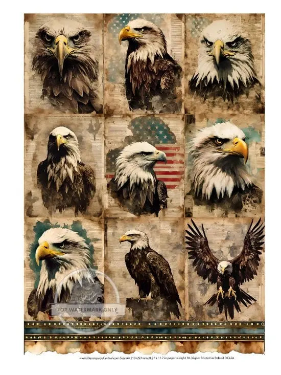 Decoupage Central, Bald Eagles, American Flags, Patriotic, Squares, July 4th, DC424, Rice Paper, Decoupage, Mixed Media, A4 8.27 X 11.69 in Decoupage Central