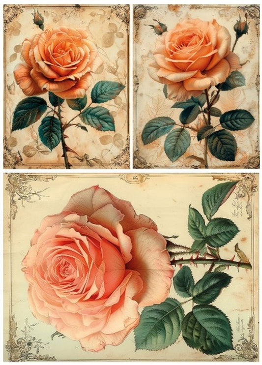 LaBlanche, 2024 Spring Release, Rice Paper, Beautiful, Pink, Roses, 3-Pack, Vintage, Shabby Chic Style, Squares, LBD360, A4 8.27 X 11.69 in