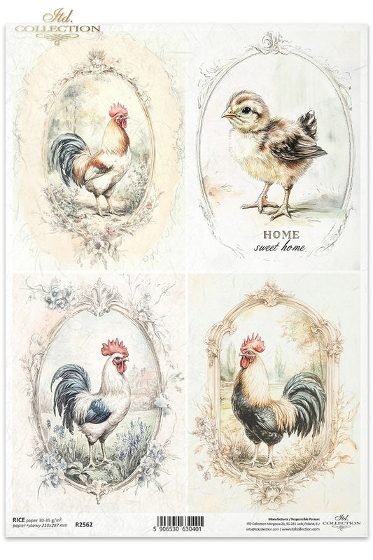ITD Collection, Rice Paper, Decoupage, R2562, A4 8.27x11.7 , Shabby Chic, Vintage Style, Chicken, Rooster, Hen, Squares, Mixed Media