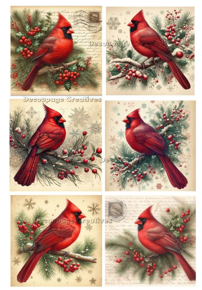 Decoupage Creatives, Rice Paper for Decoupage, Cardinals, 6 Squares, Red Birds, Mixed Media, Christmas, A4 8.27 X 11.69, DPD-175