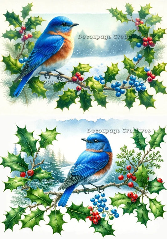 Decoupage Creatives, Rice Paper,  Mixed Media, Blue Birds, Holly, Christmas, A4 8.27 X 11.69, DPD-523