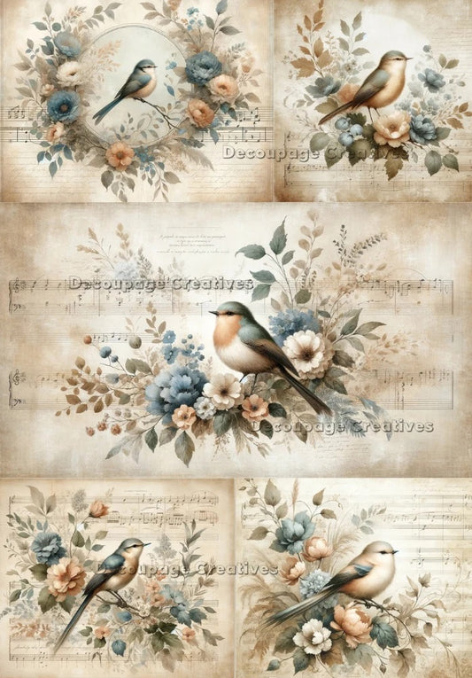 Decoupage Creatives, Rice Paper for Decoupage, Mixed Media, Spring, Vintage Song Birds, Shabby Chic, Flowers, Squares A4 8.27 X 11.6 DPD555