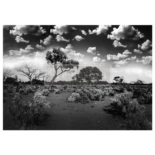 Re-Design with Prima, Decoupage Fiber Paper Set,  Serene Wilderness, Black and White, Landscape, 1 sheet, 23.4″x33.1″ Re-Design with Prima