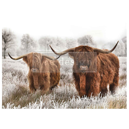 Re-Design with Prima, A1 Decoupage Fiber Pack, Highland Harmony, Animals, Farmhouse, Western, Mixed Media, Brown, Highland Cow, 23.4" x 33" Re-Design with Prima