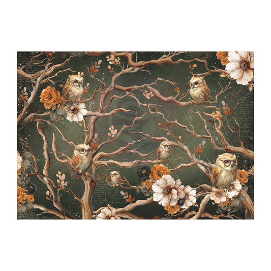 Re-Design with Prima, Decoupage Tissue Paper, Wise Owls, Branches, Autumn Blooms, Mixed Media, Scrapbooking, A3 11.7x16.5