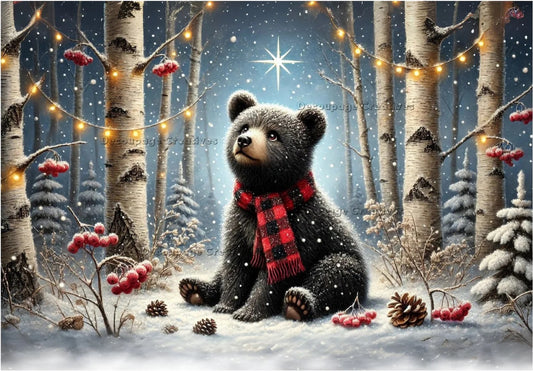 Decoupage Creatives, Rice Paper, Holiday, Christmas, Little Black Bear, Stary Night, Mixed Media, Christmas, A4 8.27 X 11.69, DPD668