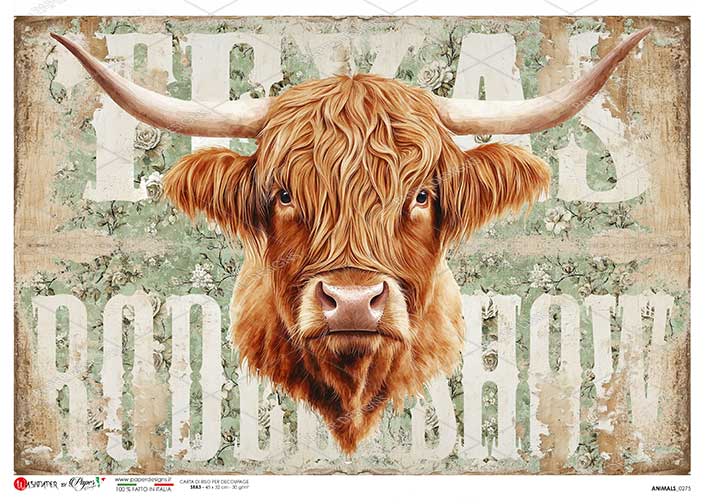 Paper Designs, Rice Paper, Country, Highland Cow, Texas, Roadshow, 2025 Release, 0275, A4, 8.3" X 11.7", Decoupage, Mixed Media