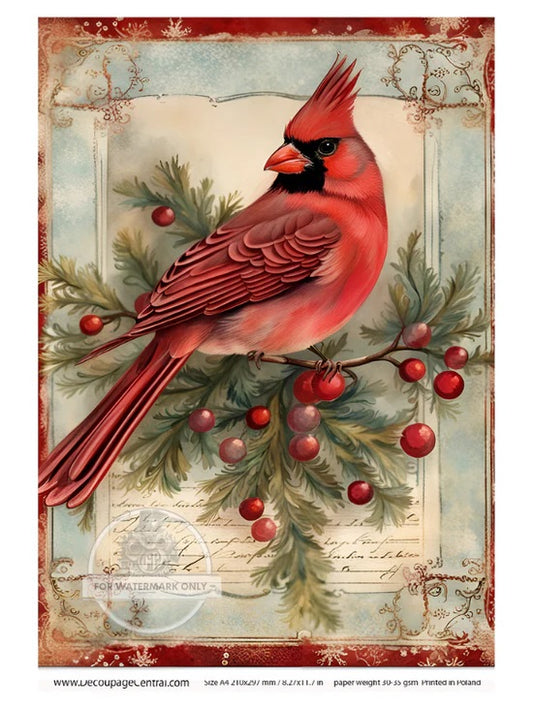 Decoupage Central, Christmas, Cardinal, Vintage Style, Flowers, DC116, Rice Paper, Decoupage, Mixed Media, A4 8.27x11.69