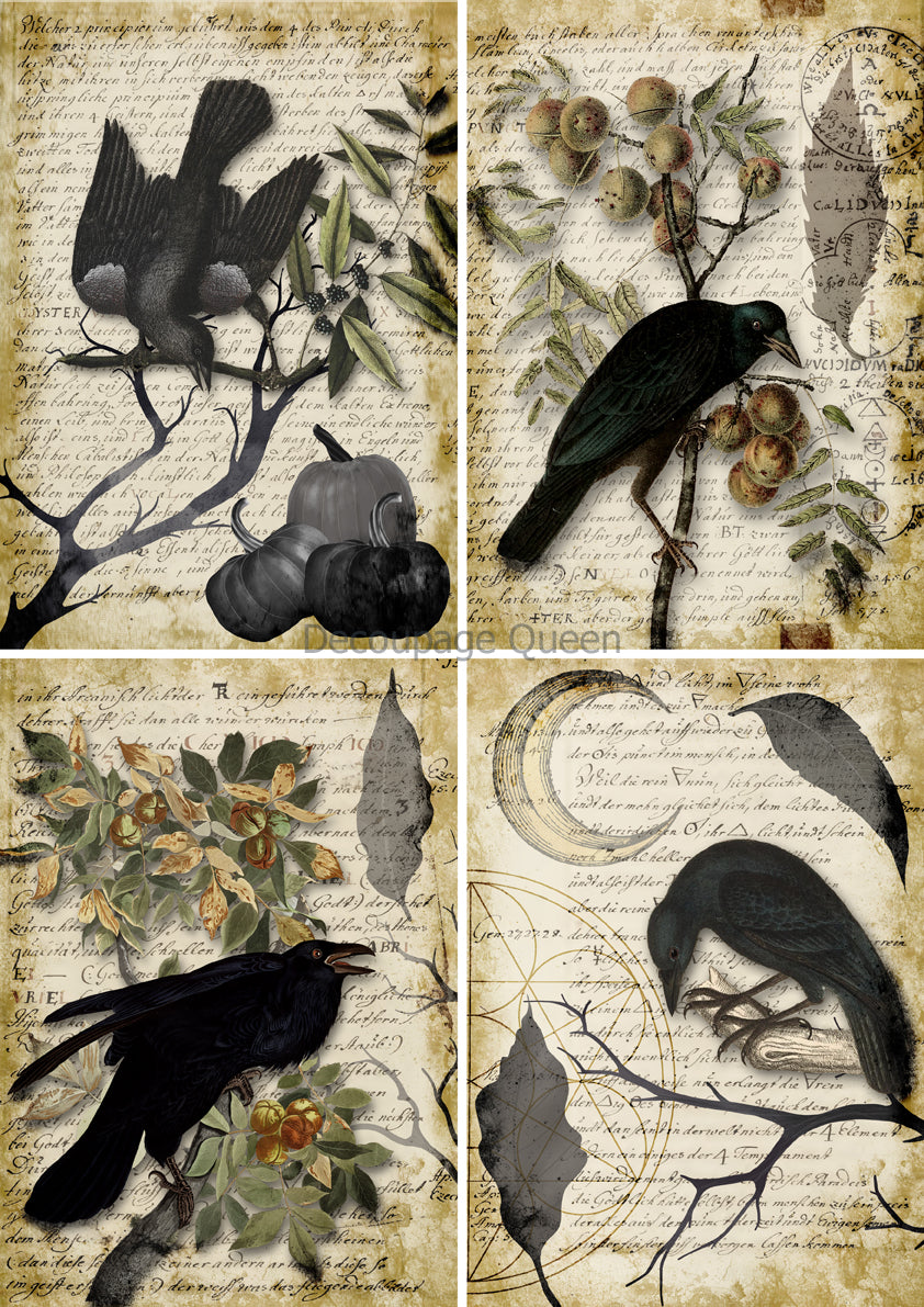 Decoupage Queen, Rice Paper, 2024 Fall Release, Vintage, Halloween, Cards, Black Birds, Ravens, A4 8.3" X 11.7", DQRP-0627