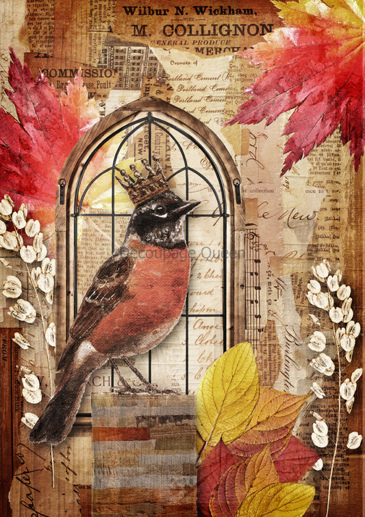 Decoupage Queen, Rice Paper, 2024 Fall Release, Teresa Rene Art, Crowned Bird, Robin, Autumn, Fall, Country, A4 8.3" X 11.7", DQRP-0629