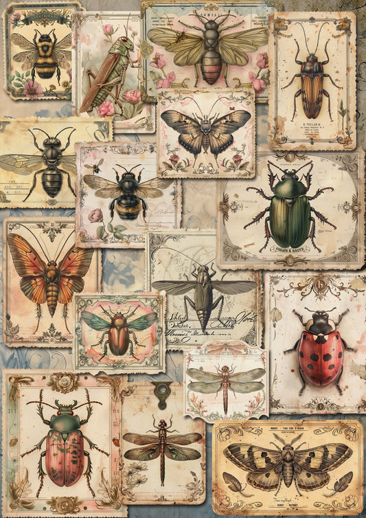 Decoupage Queen Rice Paper, Vintage Style Insects Illustrations, Background, by Iveta, A4 8.3" x 11.7"