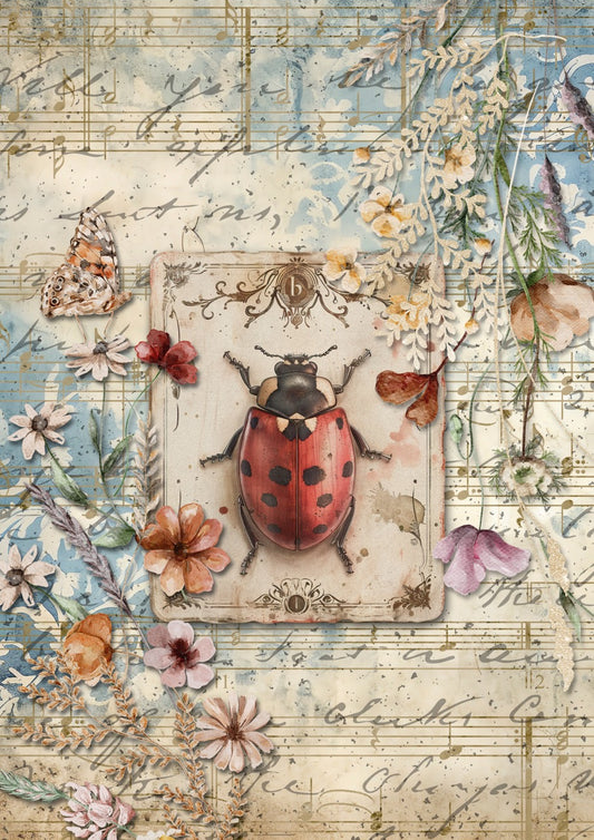 Decoupage Queen Rice Paper, Vintage Style Lady Bug, Insect Illustration, Floral Background, by Iveta Ziedina, A4 8.3" x 11.7"