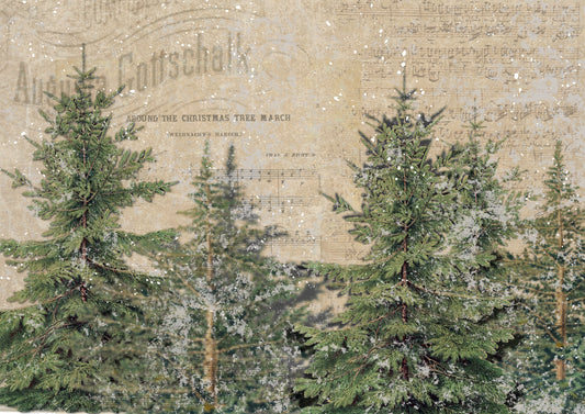 Decoupage Queen Rice Paper, Ellen J Goods, The North Woods, Pine Trees, Ephemera Background, Antique Style, A4 8.27 X 11.69