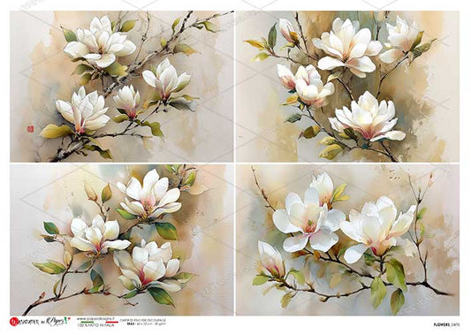 Paper Designs Italian Rice Paper, White Flowers, Shabby Chic, A4, Decoupage, Scrapbooking, Mixed Media, Crafts