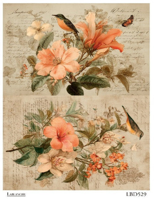 LaBlanche Rice Paper Vintage Bird, Orange Florals, Shabby Chic Decoupage, Mixed Media, Scrapbooking A4 8.27 x 11.69 Imported Germany