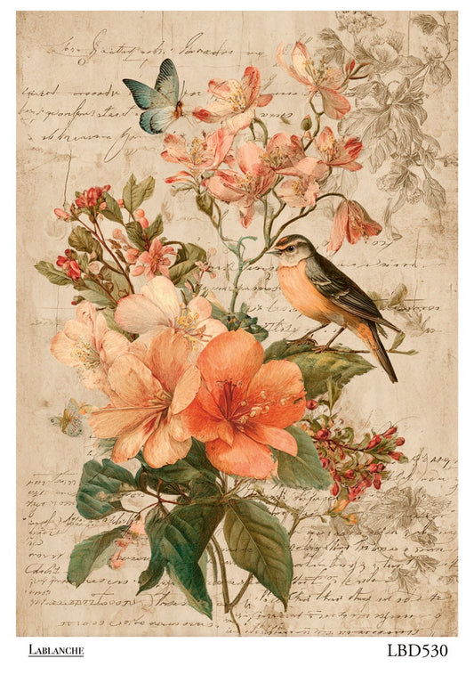 LaBlanche Rice Paper Vintage Bird, Orange Florals, Shabby Chic Decoupage, Mixed Media, Scrapbooking A4 8.27 x 11.69 Imported Germany