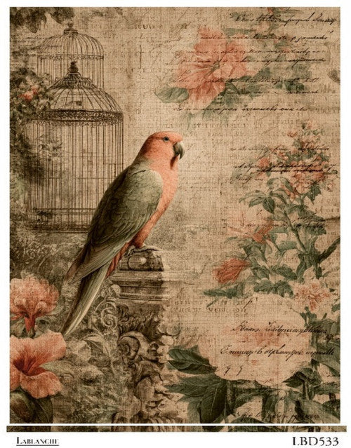 LaBlanche Rice Paper Vintage Parrot, Bird Cage, Florals, Shabby Chic Decoupage, Mixed Media, Scrapbooking A4 8.27 x 11.69 Imported Germany