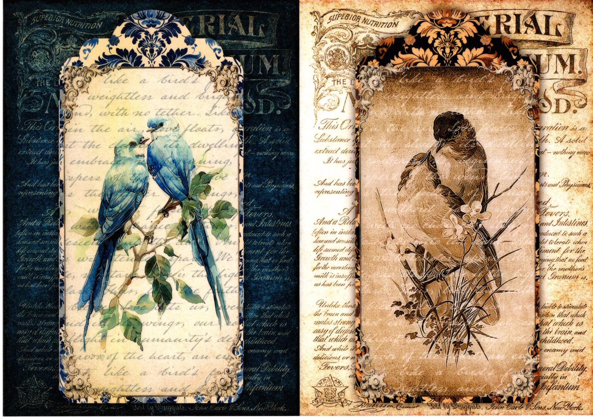 Paper Designs, 2024 Spring Release, Rice Paper Collection, Set of 10, Vintage Birds, Peacock, Background, Shabby Chic, Frames, A4 8.3 X 11.7